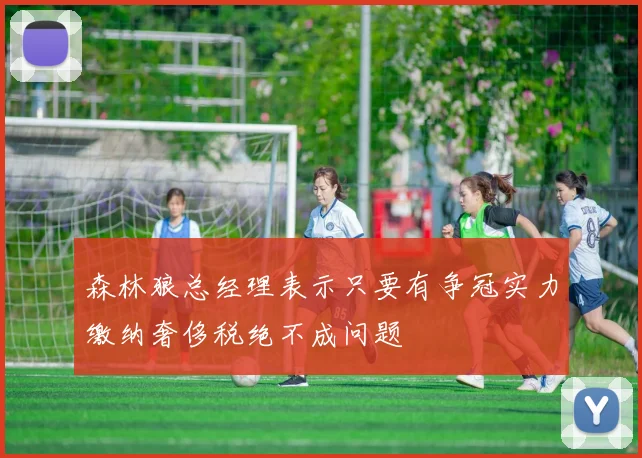 森林狼总经理表示只要有争冠实力缴纳奢侈税绝不成问题