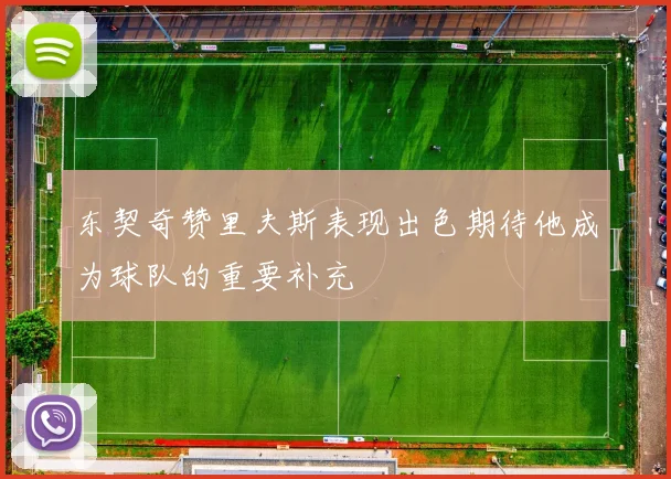 东契奇赞里夫斯表现出色期待他成为球队的重要补充